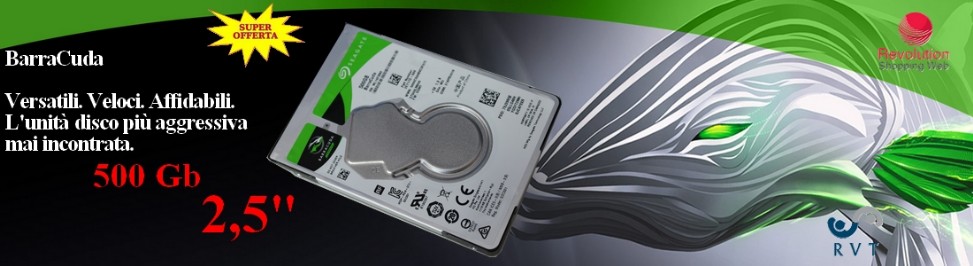 HDD 509 GB HARD DISK PORTATILE SATA